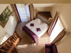 Hotel Mercure Krynica Zdrój Resort&Spa - Rum