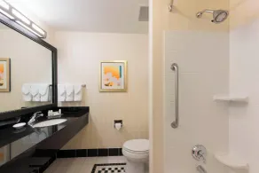 Fairfield Inn & Suites by Marriott Omaha Downtown - Salle de bain