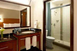 Hyatt Place Atlanta Downtown - Chambre