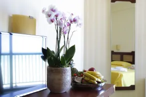 Mediterraneo Resort - Værelsesfacilitet