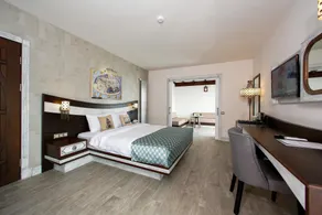 Assos Barbarossa Special Class Hotel - Habitación