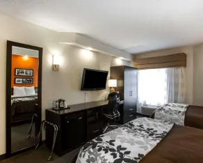 Sleep Inn Nashville - Brentwood - Cool Springs - Chambre