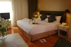 Suites del Bosque Hotel - Room