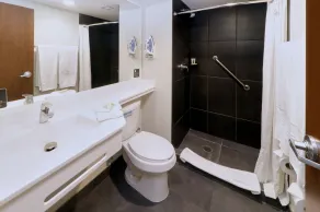 City Express Plus by Marriott Monterrey Nuevo Sur - Badeværelse