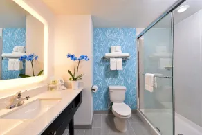 Holiday Inn Express and Suites West Ocean City by IHG - Bad
