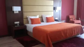 Palace Hotel & SPA Termas do Bicanho - Chambre