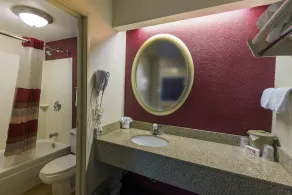 Red Roof Inn Chicago - Joliet - Salle de bain
