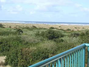 Comfort Inn & Suites Ocean Shores - Vue de la chambre