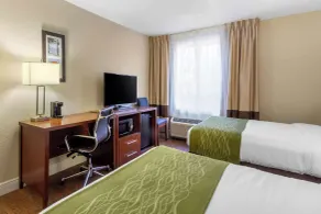 Comfort Inn St Petersburg North - Chambre