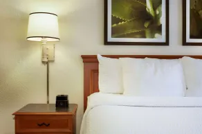 La Quinta Inn by Wyndham Austin Capitol / Downtown - Room