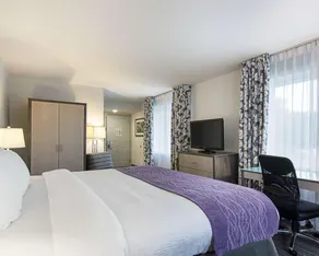 Comfort Inn Williamsburg Gateway - Chambre