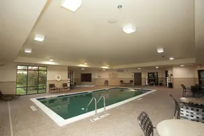 Hampton Inn Elmira/Horseheads - Piscine