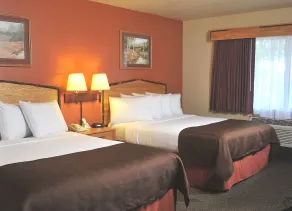 AmericInn by Wyndham Oswego - Chambre