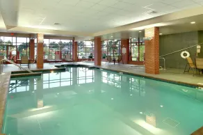 Hilton Garden Inn Wisconsin Dells - Piscine
