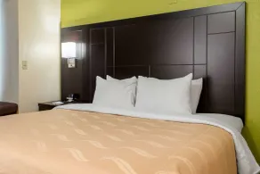 Quality Inn & Suites Robbinsville - Chambre