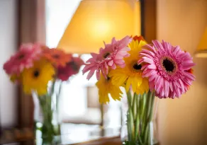 Boutique Hotel Seven Days - Vue de la chambre
