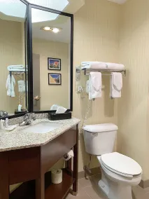 Comfort Inn & Suites Warsaw near US-30 - Salle de bain