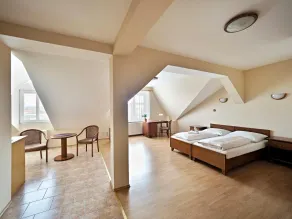 Hotel U Labutě - Camera