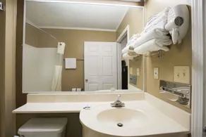 Microtel Inn & Suites by Wyndham Columbia Fort Jackson N - Salle de bain