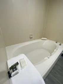 The Leo Collection Detroit, an Ascend Collection Hotel - Chambre