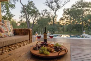 Ukanyi Private Luxury Villa - Ausblick vom Zimmer