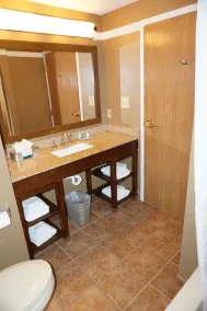 Quality Inn & Suites Georgetown - Seaford - Salle de bain