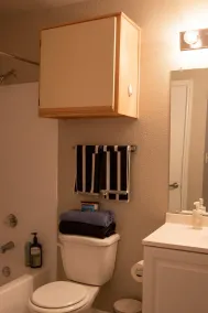 Entire Cozy Nest Minutes From Dulles Airport - Badezimmer
