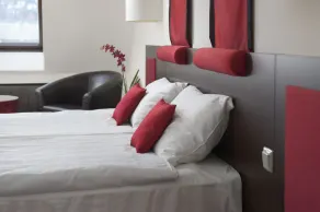 Rubin Wellness & Conference Hotel - Habitación