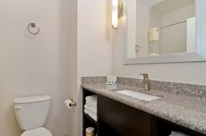 Quality Inn & Suites Bryan-College Station - Salle de bain