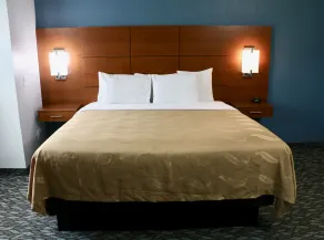 Quality Inn & Suites Watertown Fort Drum - Chambre