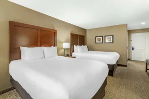 Comfort Inn & Suites Dover-Portsmouth - Chambre