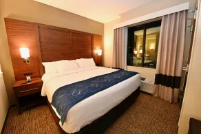 Comfort Suites Newnan - Chambre