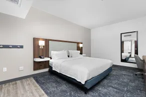 Hampton Inn Kansas City/Downtown Financial District - Chambre