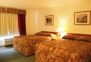 Western Budget Plus Killam Krossing - Chambre