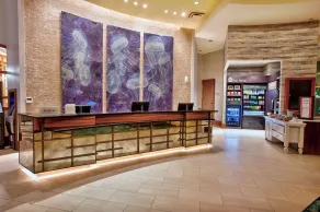 Hilton Garden Inn Virginia Beach Oceanfront - Reception