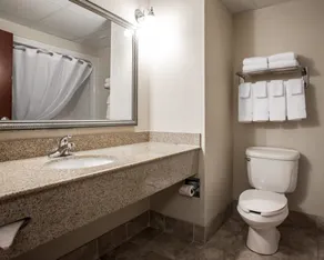Comfort Inn & Suites Lumberton Central I-95 - Chambre