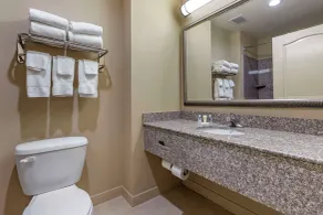 Comfort Inn & Suites High Point - Archdale - Room