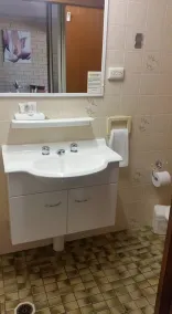 Avlon Gardens Motel - Bathroom