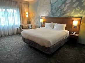 Courtyard by Marriott Asheville Airport - Chambre