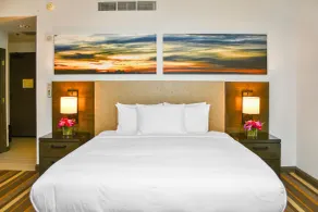 Hilton Dallas/Park Cities - Chambre