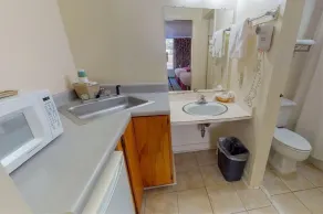 Econo Lodge Clemson - University Area - Bathroom