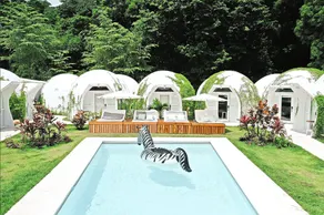 Igloo Beach Lodge - Pool