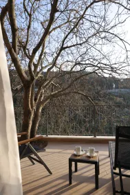 The Silk Valley - Terrace/patio