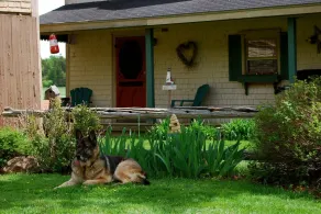 Bugaboo Cottages - Quarto