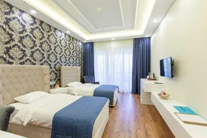 VE Hotels Golbasi - Room