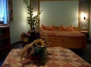 Wolffhotel - Room