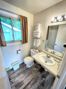 Alger Falls Motel - Badrum