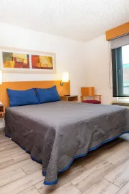 Hotel Galerías Express - Room