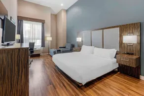 Best Western Plus Pflugerville Inn & Suites - Chambre