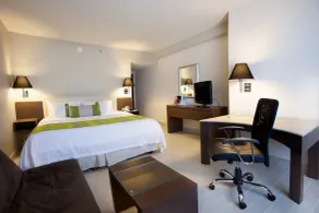 Holiday Inn Puebla La Noria by IHG - Rom